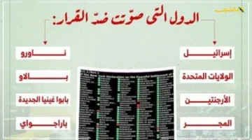 10 دول فقط.. الكشف عن قائمة الجهات التي تحدت الإجماع الدولي بشأن إعلان نيويورك الخاص بحل الدولتين 2